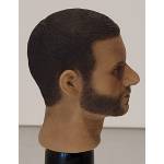 Head Sculpt